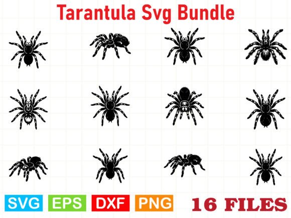 Tarantula Svg Bundle Review